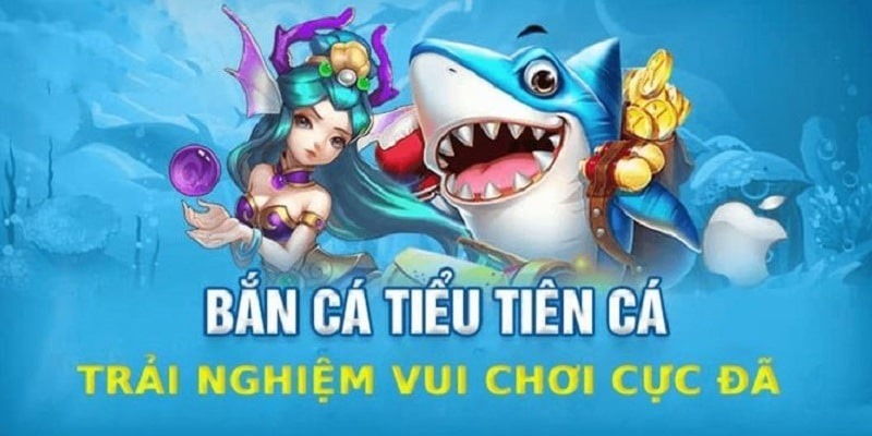 Tổng quan thông tin giới thiệu về Bắn Cá Tiểu Tiên Cá