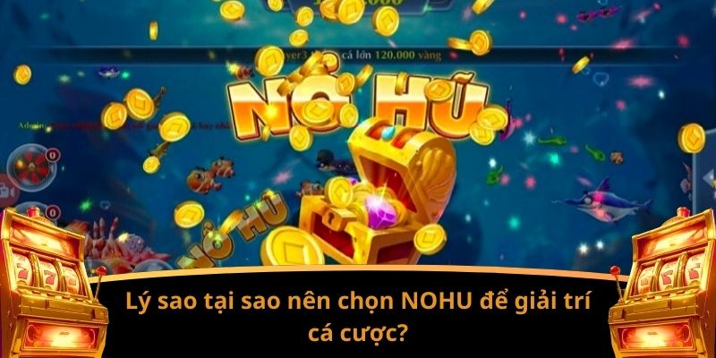 Lý sao tại sao nên chọn NOHU để giải trí cá cược?